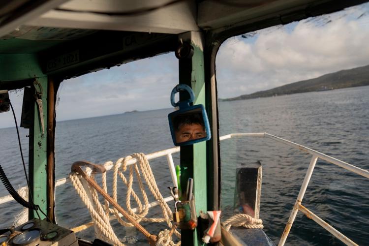 APTOPIX Chile Salmon Farms