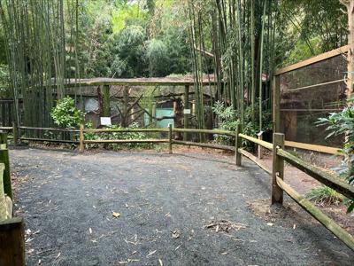 zoo path