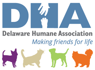 Delaware Humane Association to Host Vaccination Clinic in Rehoboth Beach