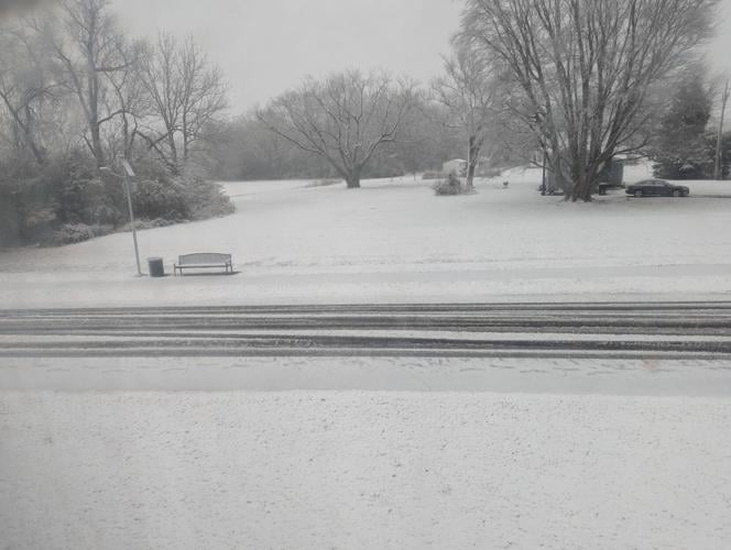 Cathy Ozman Hurlock.jpg