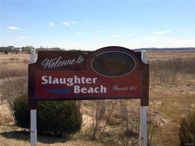 PETA Asks Town to Change Name From Slaughter to Sanctuary
