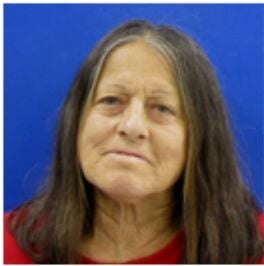 No Jail Time for Hebron Woman in Animal Cruelty Case Involving Horses