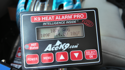 Heat Alarm in car