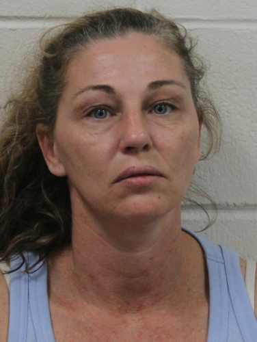 Two arrested in Wicomico County drug bust