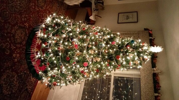 lucy-cambridge-md-xmas-tree