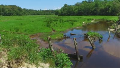 Travels With Charlie: The Creek’s Point of View