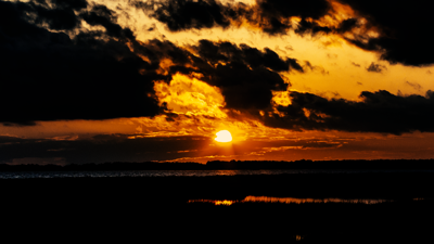 DVL1861H.00_01_48_18.Still001