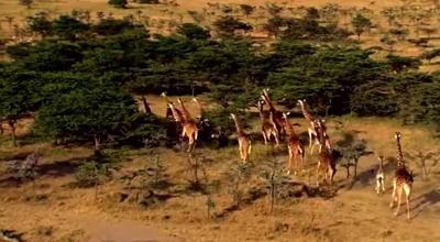 Hebron Ticket Giveaway and  Zoo  Series Premiere   Tuesday  June 30  2015   YouTube