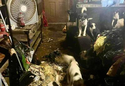 West Virginia dog rescue