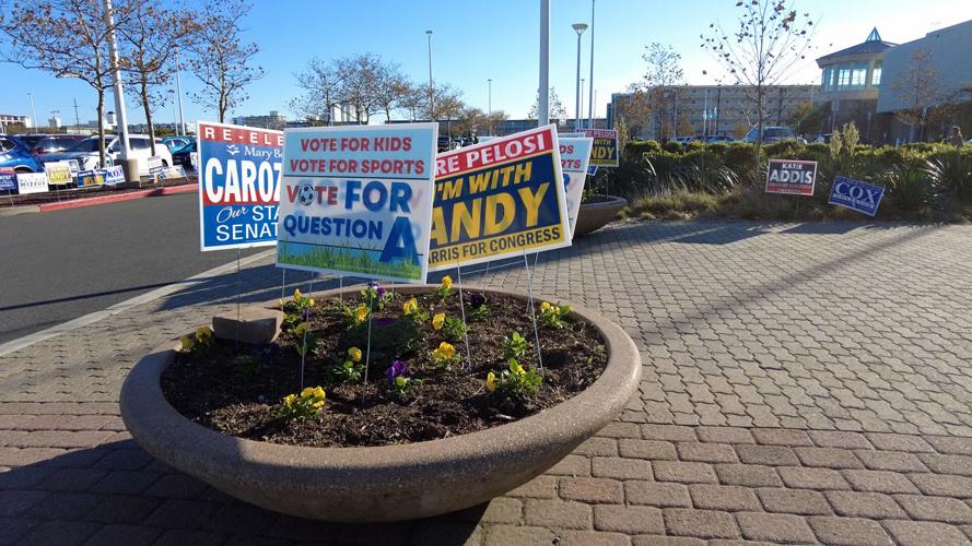 Campaign Signs