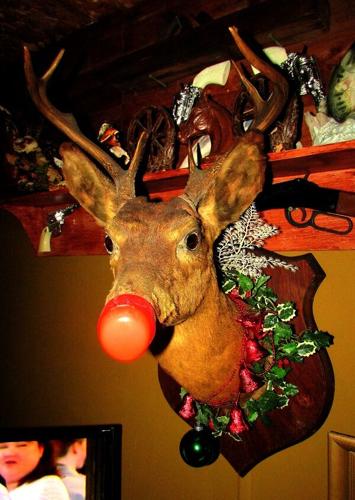 steve and Sheila grabinski Smyrna de