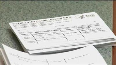 Delaware Offering Online Portal to Access COVID Vaccination Information