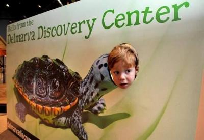 delmarvadiscoverycenter