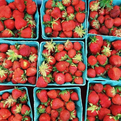 11393053_945984225454019_1826154779445215514_n