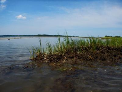 Chesapeake Bay Sandbar