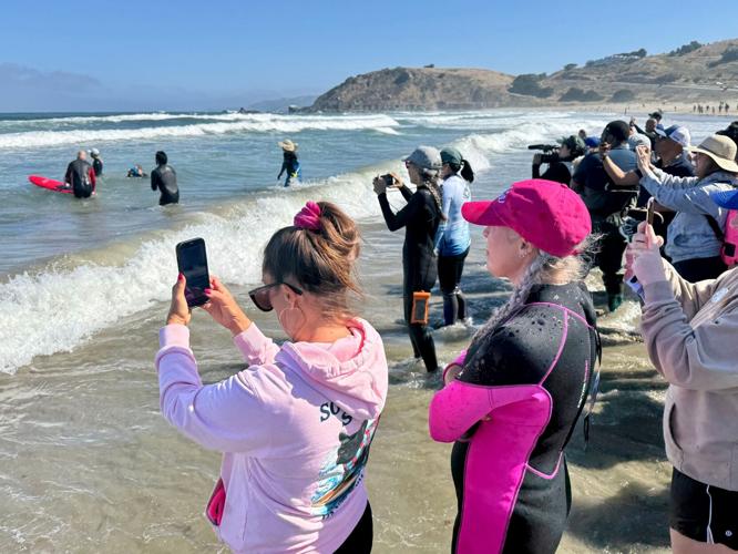 US Dog Surf Competition