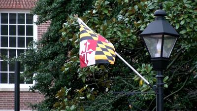 Maryland Flag
