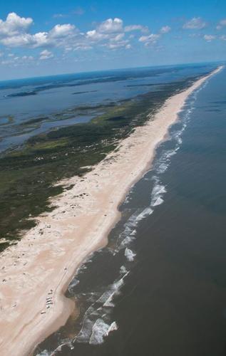 Assateague Coastal Trust Opposes Trump Administration's Offshore Drilling Plan