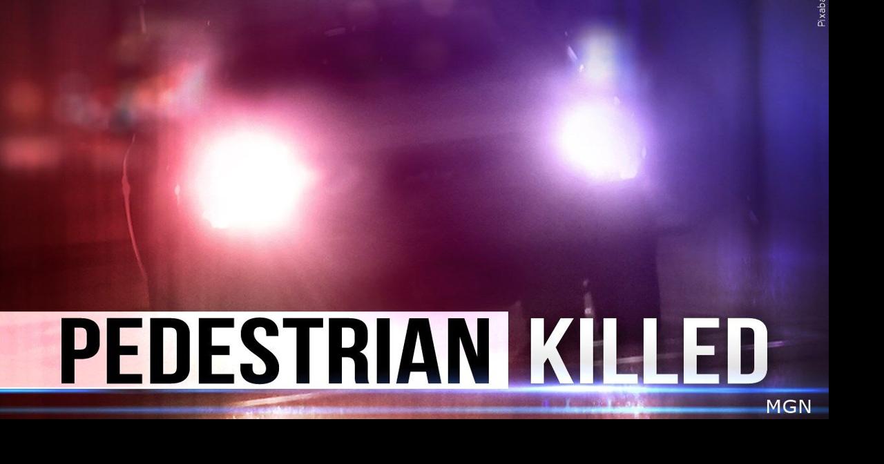 UPDATE: Police arrest suspect in fatal Dover hit-and-run | Latest News ...