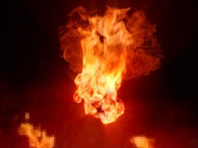21,000 Chickens Killed in Gumboro Fire