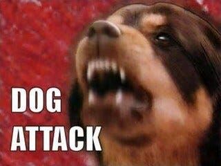 8 Year-Old Newark Girl Critically Injured After Dog Attack