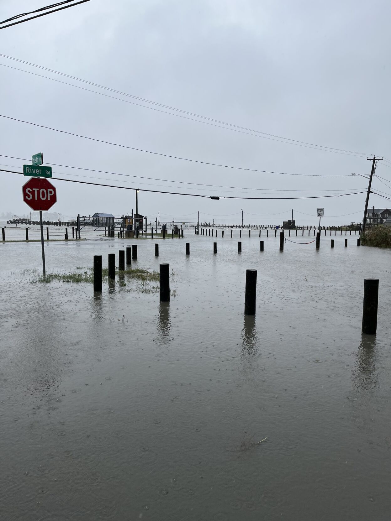Photos Ophelia's Impact Across Delmarva Latest News