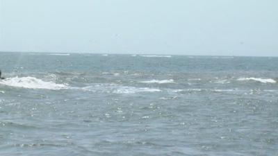 Rip Currents and Rip Tides: What's the Difference?