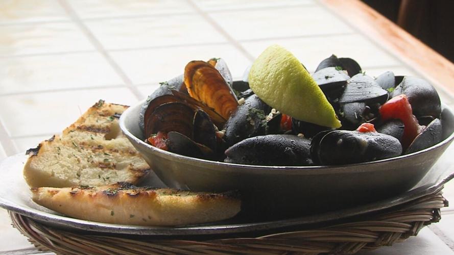 Harrison’s Harbor Watch