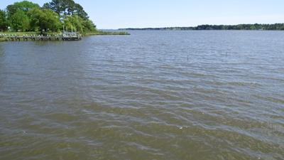 COASTAL BAYS