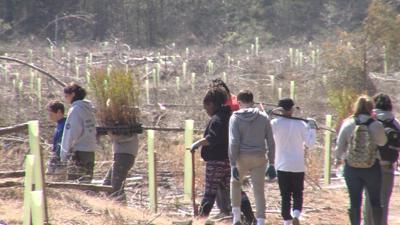 Students Plant Native Seedlings in Nassawango Creek Preserve