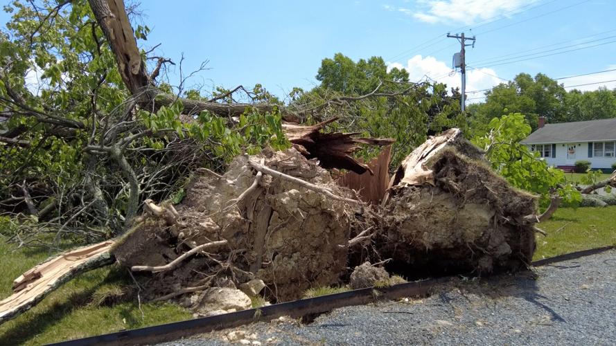A Look Into The Disaster Clean-up On Tilghman Island