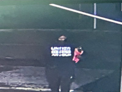 Dover Arson Suspect