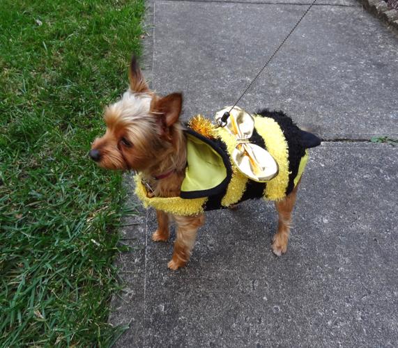 Halle & Cassie as ballerinas.