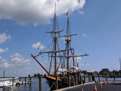 marylanddove