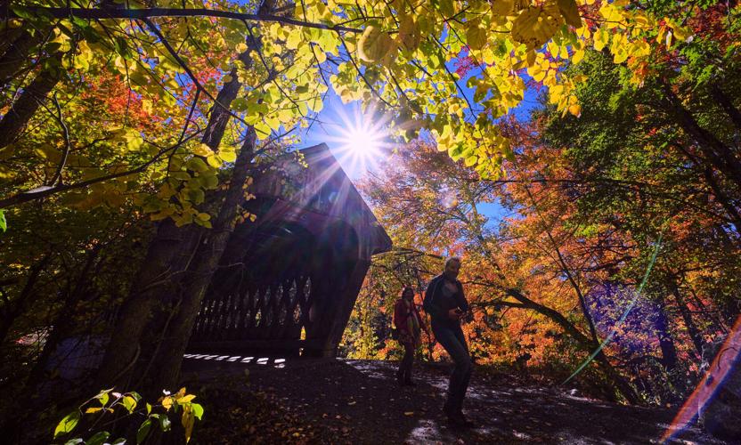 Fall Foliage New Hampshire