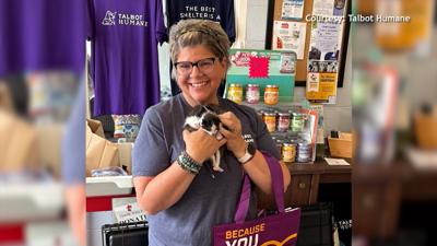 Woman dressed in purple shirt holding black & white kitten from Talbot Humane