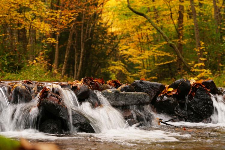 APTOPIX US Fall Foliage Pennsylvania