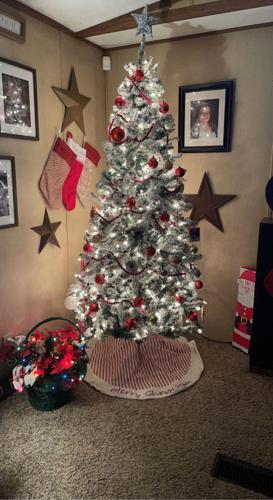 Amy Clark's tree in Selbyville, Del.