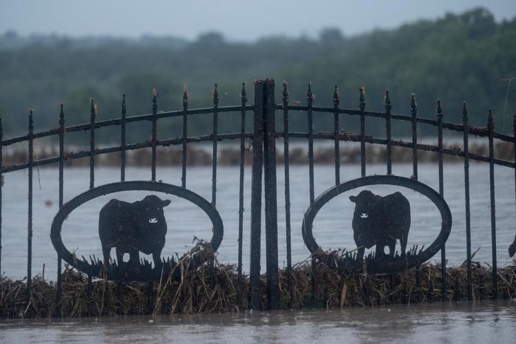 The top photos of the day by AP photojournalists