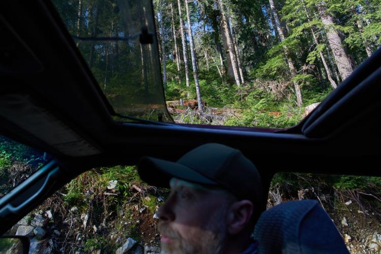 Climate Canada Deforestation
