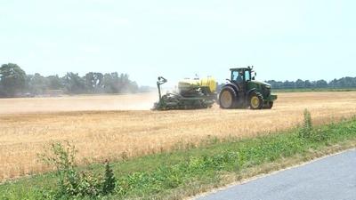 Differences Between O'Malley's and Hogan's Phosphorous Management Tools