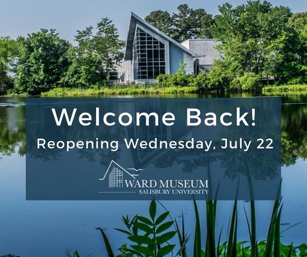 109769347_10158589812499198_1028190461515618601_n