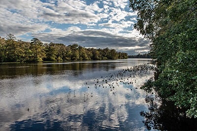 Pocomoke River