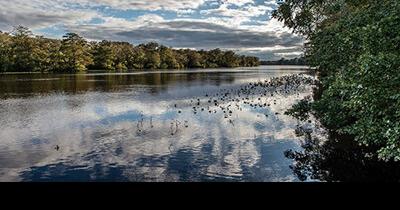 Pocomoke Survey Aims to Address Flooding - Vimarsana News