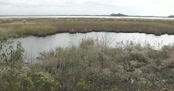 Prescribed burns planned at Blackwater national wildlife refuges through April