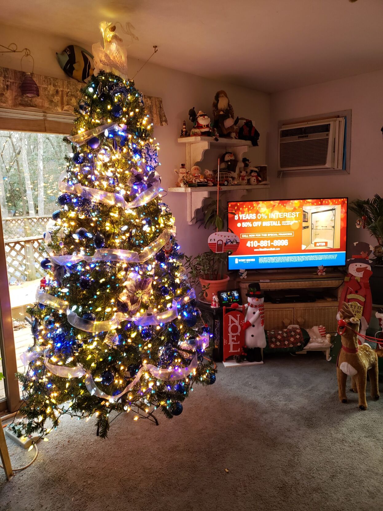 Hawkins family of Georgetown