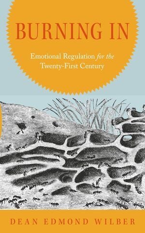 Author Dean Edmond Wilber Explores Emotional Regulation and Ancient Connections in New Book Burning In Emotion Regulation for the Twenty-First Century