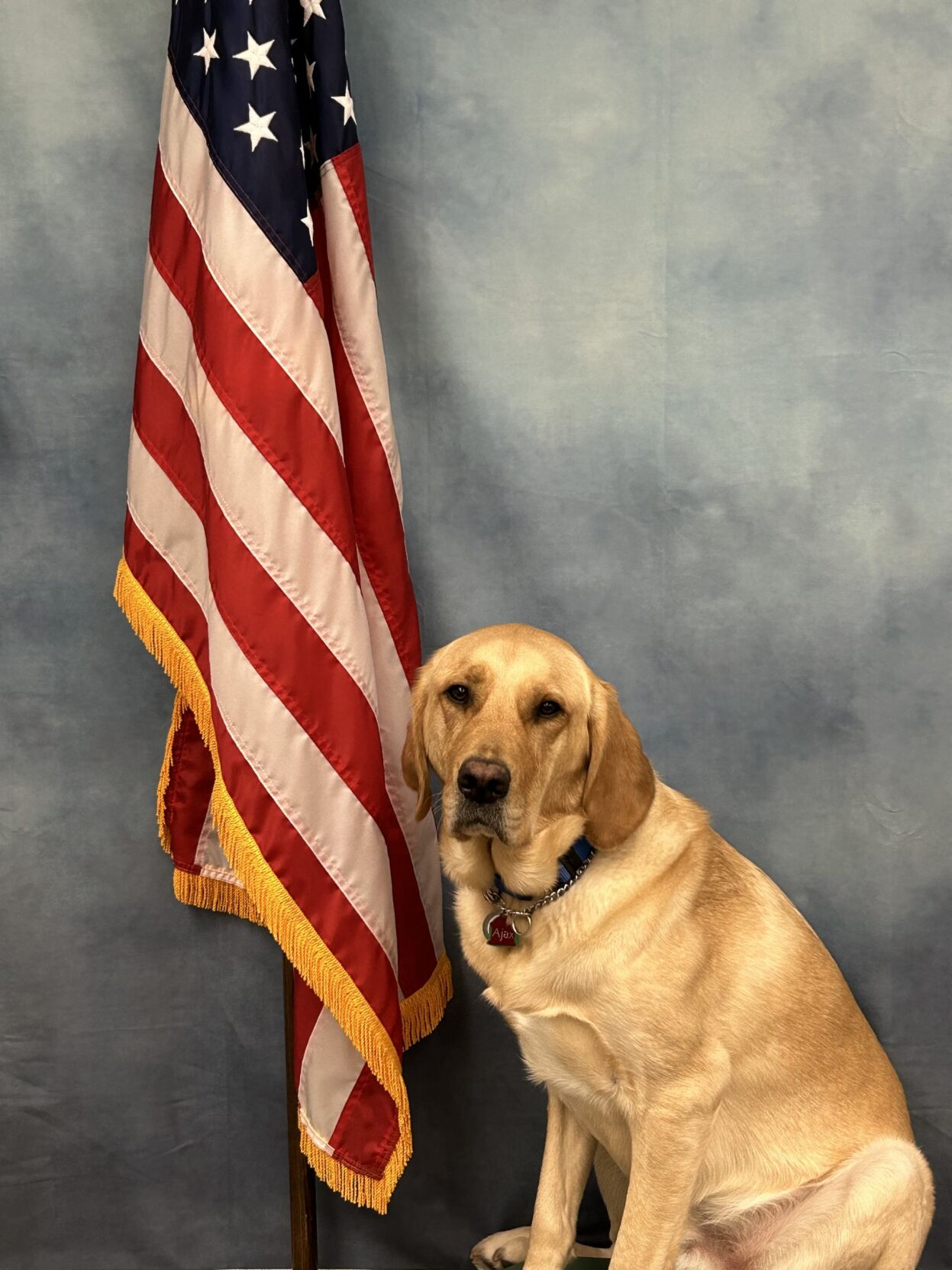 delaware state fire commission k9 ajax