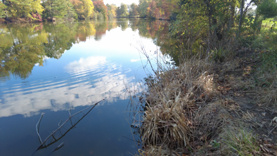 Blockhouse Pond