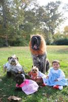 dorothy-and-her-wizard-of-oz-crew